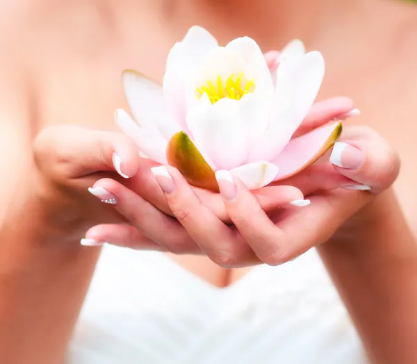 Nilüfer çiçek ellerinde