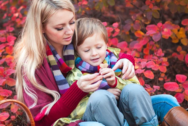 Mother with son collecting mushrooms — Stock Photo, Image