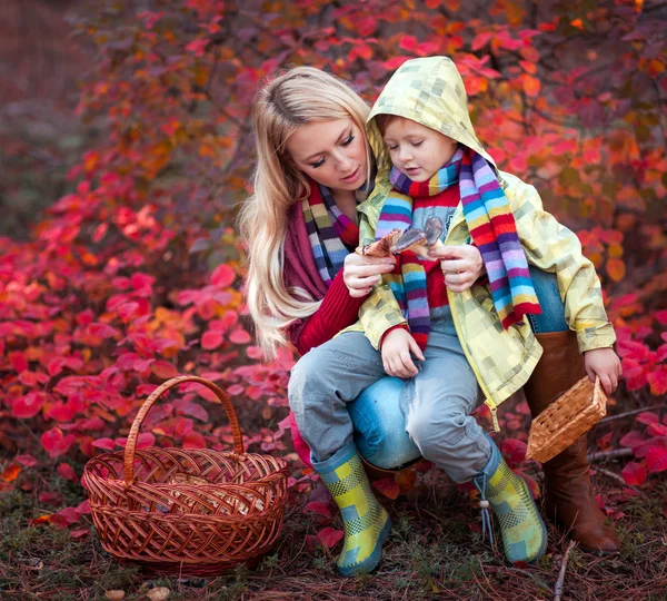 Mother with son collecting mushrooms — Stock Photo, Image