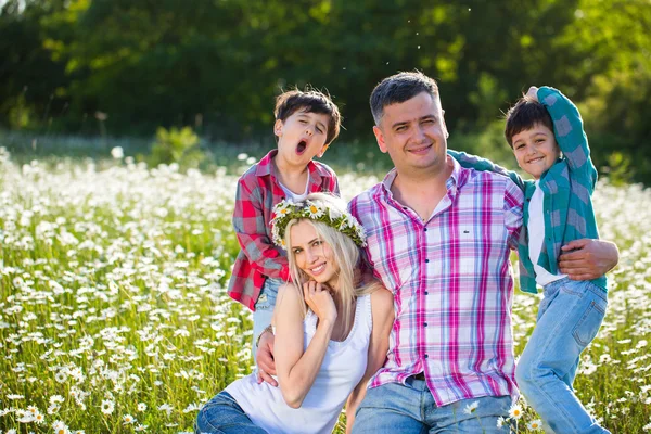 Familie på engen - Stock-foto