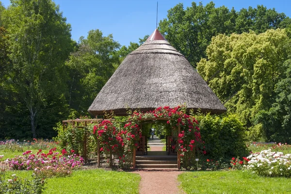 Rose cottage