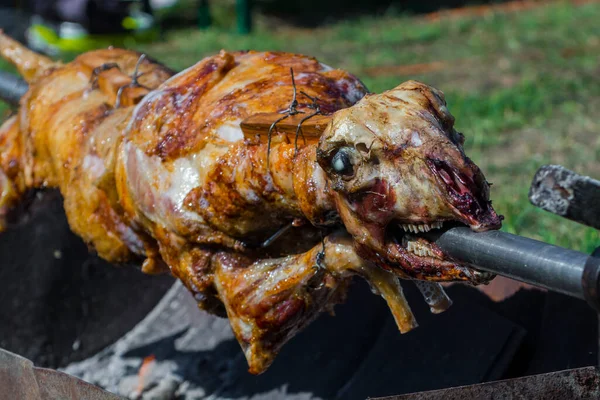 Fritar uma ovelha em um cuspo em um festival — Fotografia de Stock