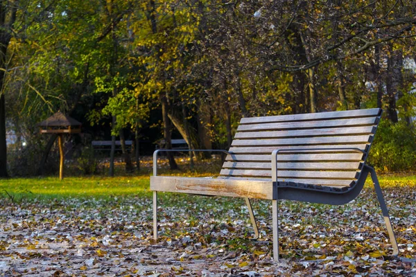 Bancos Aire Libre Parque Liget Szeged —  Fotos de Stock