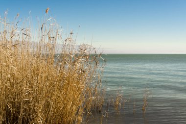 Güneşli bir kış gününde Balatonalmadi plajı