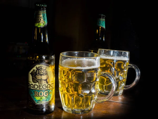 Radegast Rog IPAビールとフル瓶 — ストック写真