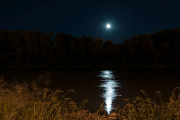 Лунный Свет Отражается Поверхности Воды Тисе Сегеде — стоковое фото