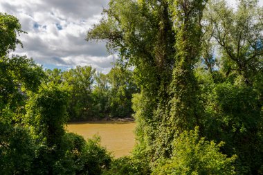Macaristan 'ın Mako kentindeki Maros nehri boyunca