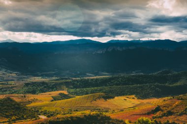 Corbieres Vadisi 'ndeki bağlar ve dağlar, Fransa