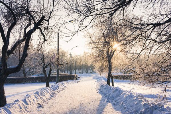 An alley covered with snow in Kolomenskoye public park, Moscow, Russia