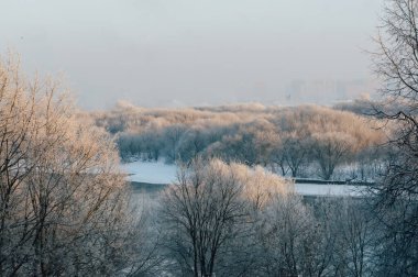 Yoğun kar yağışı sonrası Kolomenskoye parkından Kurianovo ve Pechatniki ilçelerine bakın.