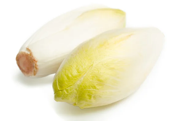 Endives — Stock Photo, Image