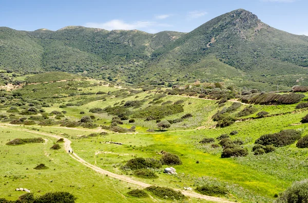 Punta Sa Guardia — Stockfoto