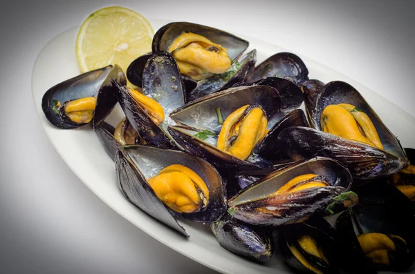 Tray of mussels — Stock Photo, Image