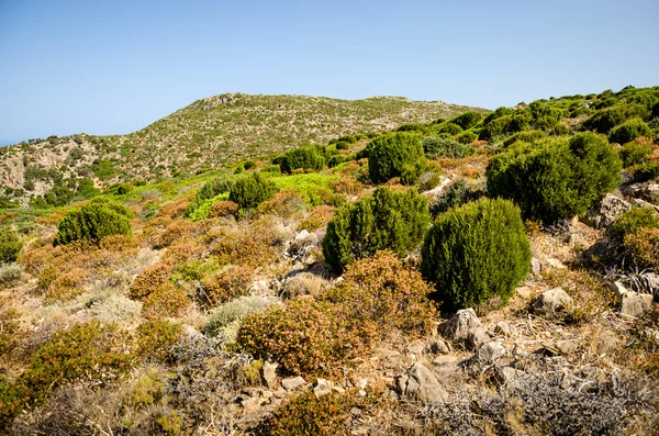 Sardinië, sulcis platteland — Stockfoto