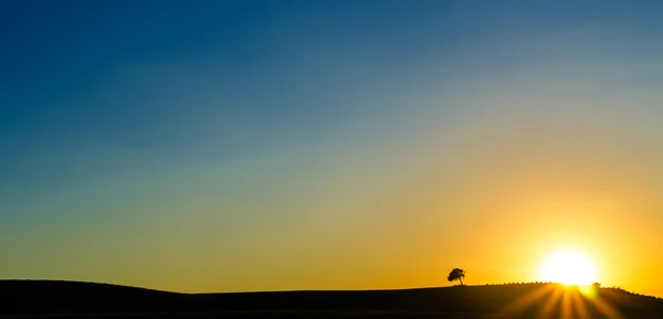 Volontà di vivere — Foto Stock