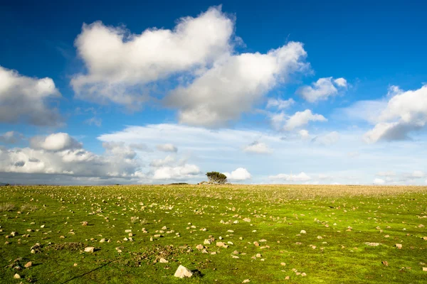 Deserto de Gerrei — Fotografia de Stock