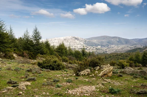 Sardinië, Orgosolo (nu), gennargentu — Stockfoto