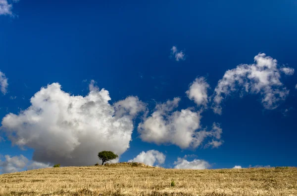 Sardegna, krajobraz — Zdjęcie stockowe