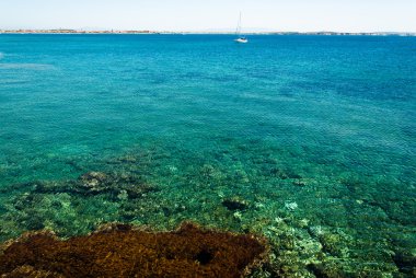 mandriola kıyısında, Sardunya