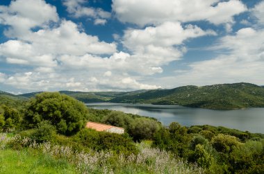 Sardunya, liscia Gölü