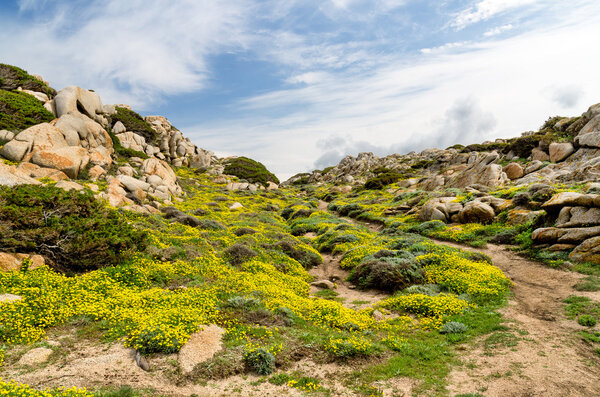 Sardinia, Gallura, Valle della Luna