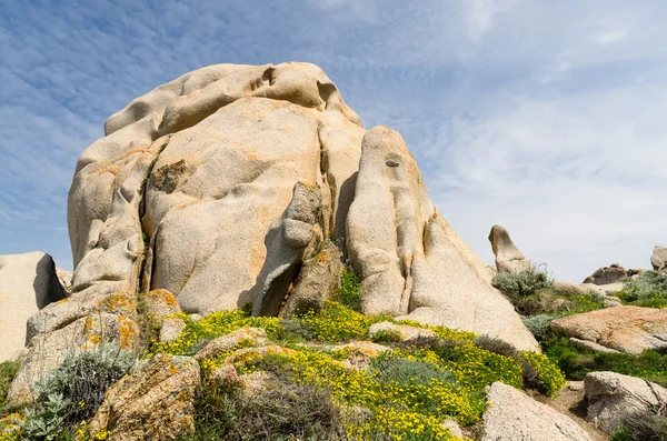 Sardinië, kust van gallura — Stockfoto