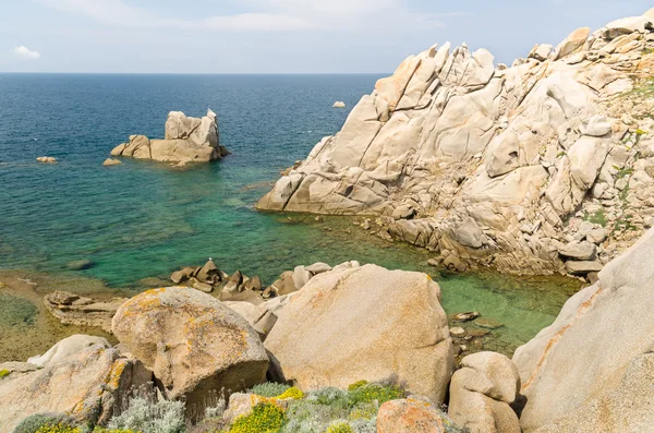 Sardunya, cala francesa — Stok fotoğraf