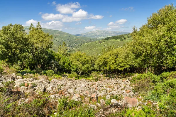 Sardinia, Gerrei countryside — Stock Photo, Image