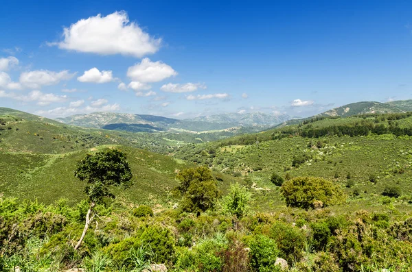 Sardinië, gerrei platteland — Stockfoto