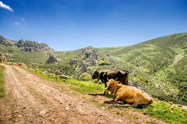 Sardinia, Gerrei landscape — Stock Photo, Image