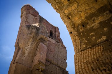Roma, caracalla hamamları