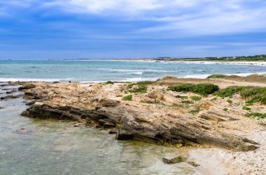 Sardunya, arutas olduğunu