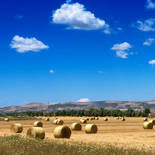 Balas redondas de heno — Foto de Stock