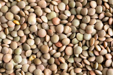 Taze mercimek ve vejetaryen yemekleri olan bir Macro. 