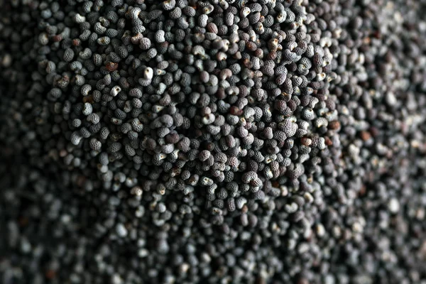 Poppy Seeds Close Ingredient — Stok fotoğraf