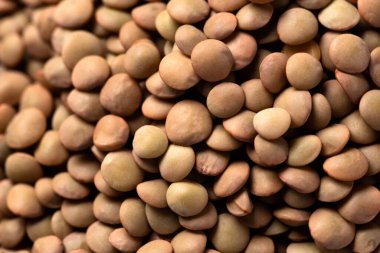 Çiğ mercimek beyazda izole 