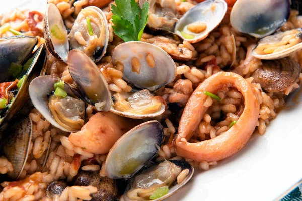 Mediterranean Dish Squid — Foto Stock