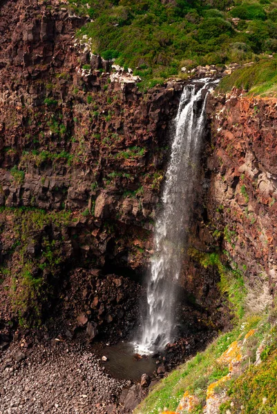 Vahşi doğada büyük, güzel bir şelale 