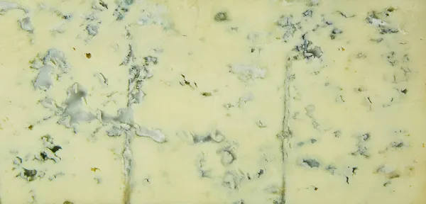 Een Stuk Kaas Met Schimmel Textuur Van Het Oppervlak Van — Stockfoto