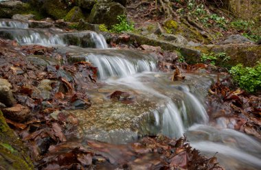 Sonbaharda ormanda bir dağ şelalesi. Vahşi doğadaki su akışı.