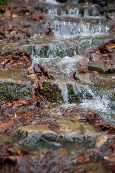 Bergwasserfall Wald Herbst Der Fluss Des Wassers Freier Wildbahn — Stockfoto