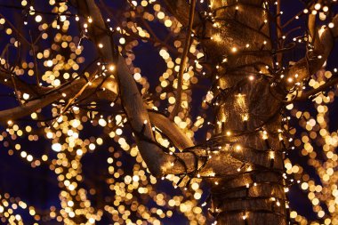 Ağaçta asılı duran ampul çelenklerinden bir parıltı ve bokeh. Tatil için dekor..