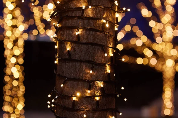 Відблиск Боке Гірлянди Лампочок Звисають Дереві Декор Свята — стокове фото