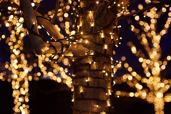 Відблиск Боке Гірлянди Лампочок Звисають Дереві Декор Свята — стокове фото