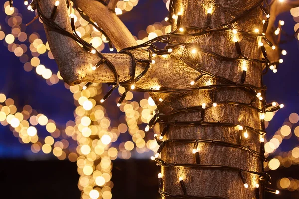 Ağaçta asılı duran ampul çelenklerinden bir parıltı ve bokeh. Tatil için dekor..