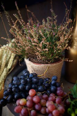 Tahta bir fıçının üzerinde duran meyve üzümleri ve yabani otlar. Bereket ve şarabın sembolü..