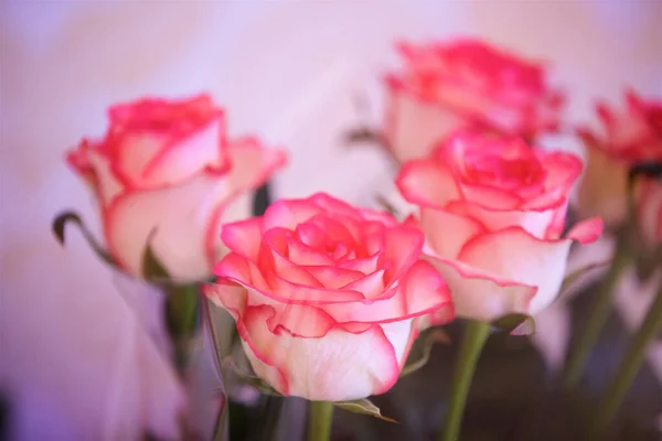 Composition Est Faite Par Des Fleuristes Fleurs Fraîches Roses Fête — Photo