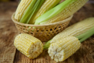 The young cobs of fresh yellow corn on the background of wooden table. Harvest from the organic garden.