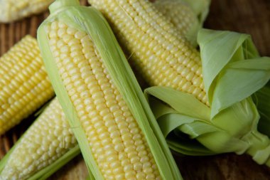The young cobs of fresh yellow corn on the background of wooden table. Harvest from the organic garden.