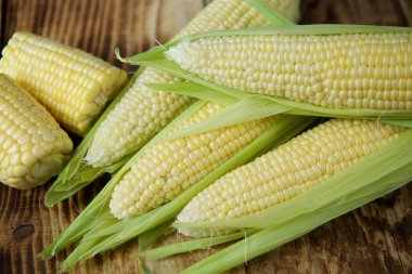 The young cobs of fresh yellow corn on the background of wooden table. Harvest from the organic garden.